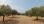 For Sale - Land 4523 m² in Sithonia, Chalkidiki