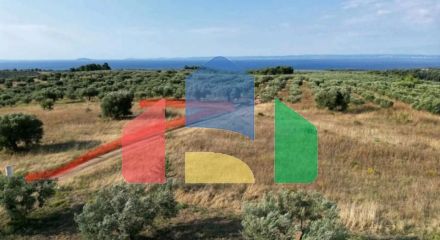 Продаж - Земельна ділянка 4200 m² на Сітонії (Халкідіки)
