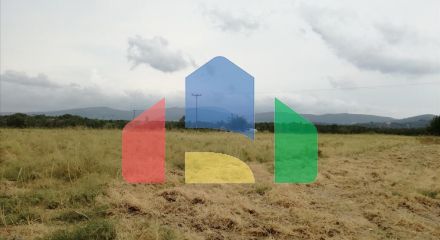 Продаж - Земельна ділянка 7300 m² на Сітонії (Халкідіки)