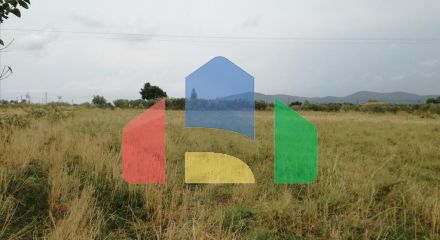 Продаж - Земельна ділянка 7300 m² на Сітонії (Халкідіки)
