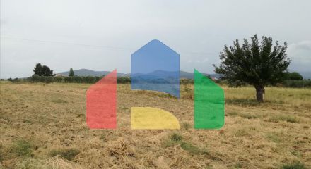 Продаж - Земельна ділянка 7300 m² на Сітонії (Халкідіки)