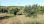 For Sale - Land 4000 m² in Sithonia, Chalkidiki