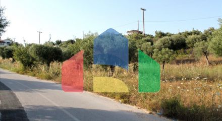 For Sale - Land 4000 m² in Sithonia, Chalkidiki