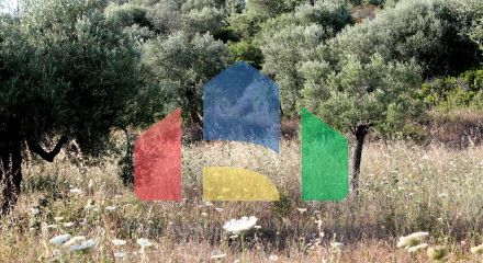 For Sale - Land 4000 m² in Sithonia, Chalkidiki