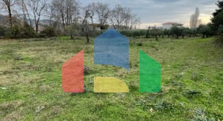 Продажа - Земельный участок 1800 m² на Ситонии (Халкидики)