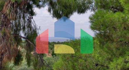 Продажа - Таунхаус 125 m² на Ситонии (Халкидики)