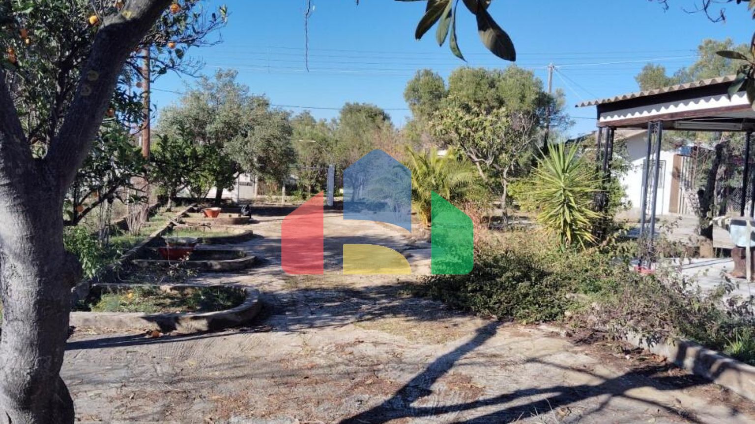 Продаж - Котедж 70 m² на Сітонії (Халкідіки)