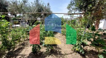 Продаж - Котедж 85 m² на Сітонії (Халкідіки)