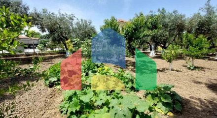 Продаж - Котедж 85 m² на Сітонії (Халкідіки)