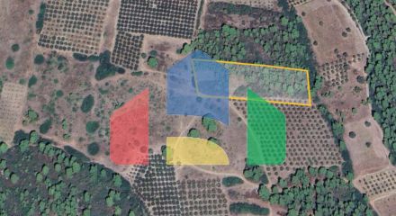 For Sale - Land 10000 m² in Sithonia, Chalkidiki
