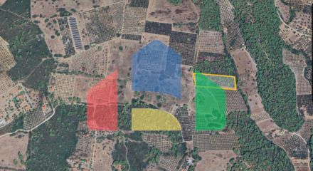For Sale - Land 10000 m² in Sithonia, Chalkidiki