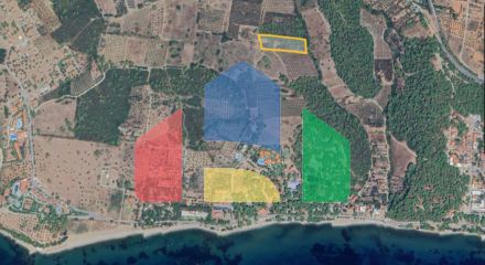 For Sale - Land 10000 m² in Sithonia, Chalkidiki
