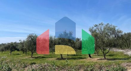 Продажа - Земельный участок 2550 m² на Ситонии (Халкидики)
