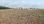 For Sale - Land 1800 m² in Sithonia, Chalkidiki