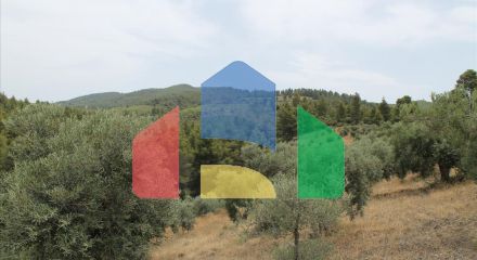 Продаж - Готель 685 m² на Сітонії (Халкідіки)