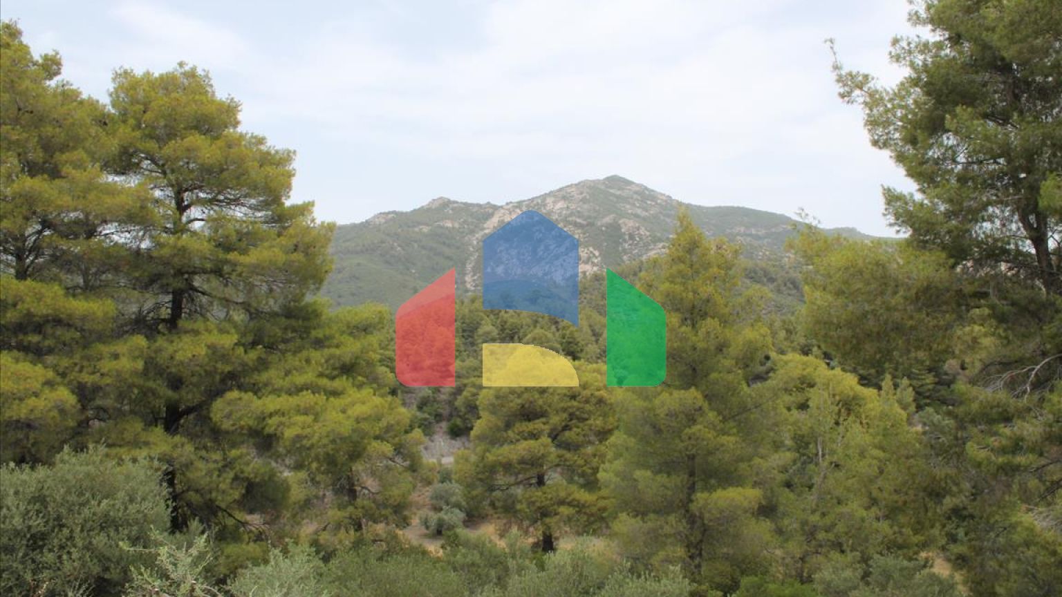 Продаж - Готель 685 m² на Сітонії (Халкідіки)