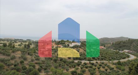 Продаж - Готель 685 m² на Сітонії (Халкідіки)