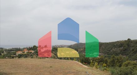 Продаж - Готель 685 m² на Сітонії (Халкідіки)