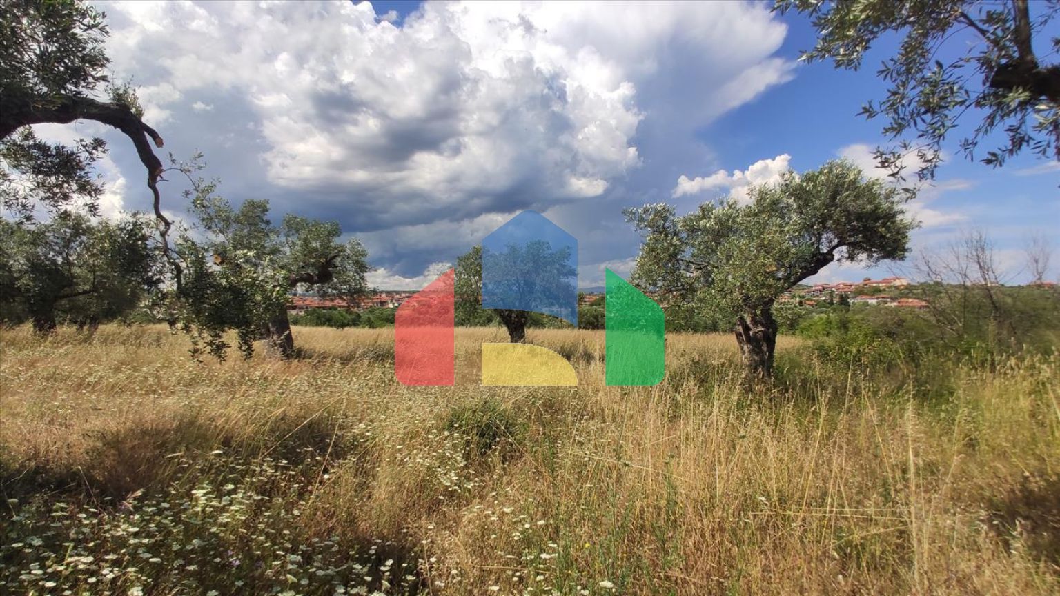 Продажа - Земельный участок 20000 m² на Ситонии (Халкидики)