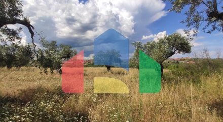 Продажа - Земельный участок 20000 m² на Ситонии (Халкидики)