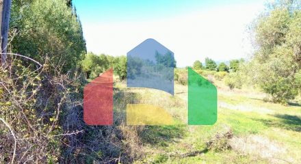 For Sale - Land 1200 m² in Sithonia, Chalkidiki