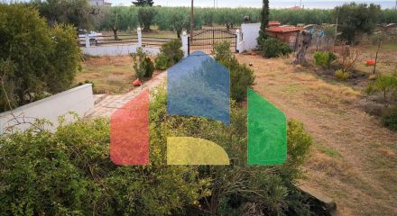 Продажа - Коттедж 400 m² на Ситонии (Халкидики)