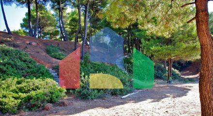 Продажа - Гостиница 240 m² на Ситонии (Халкидики) Продажа - Гостиница 240 m² на Ситонии (Халкидики)