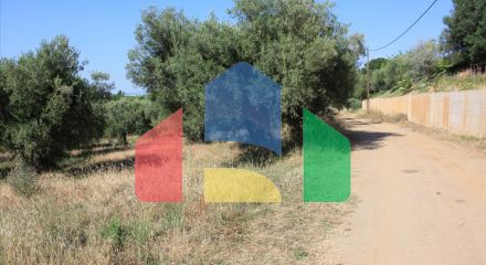 For Sale - Land 1300 m² in Sithonia, Chalkidiki