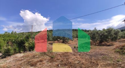 Продажа - Земельный участок 13750 m² на Ситонии (Халкидики)