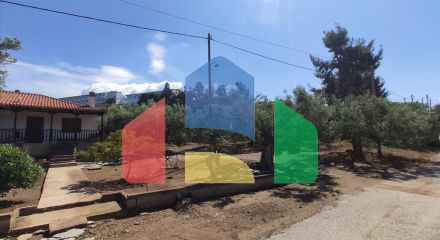 Продажа - Земельный участок 13750 m² на Ситонии (Халкидики)