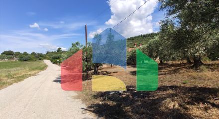 Продажа - Земельный участок 13750 m² на Ситонии (Халкидики)