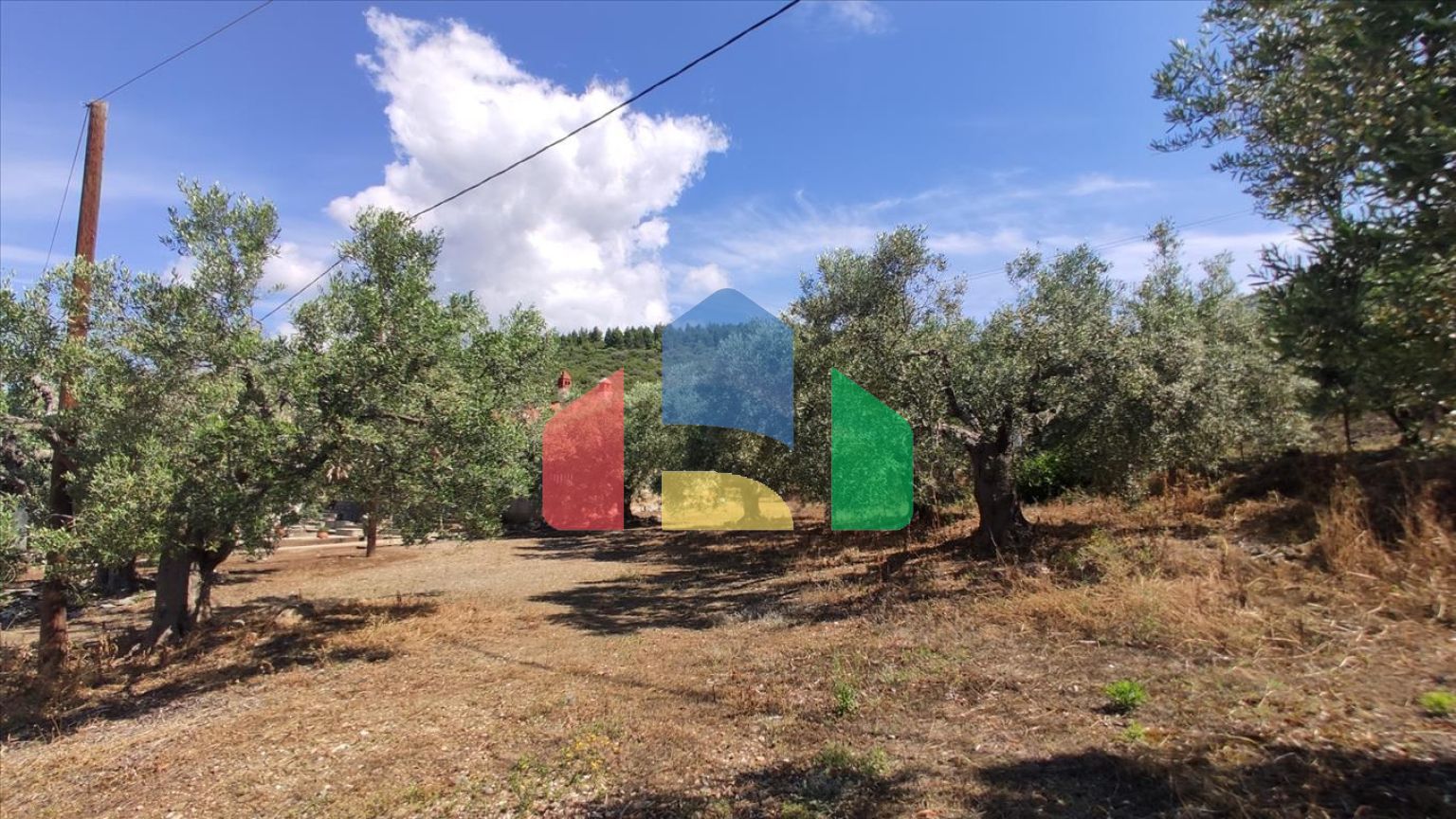 Продажа - Земельный участок 13750 m² на Ситонии (Халкидики)