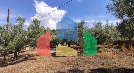 Продажа - Земельный участок 13750 m² на Ситонии (Халкидики)