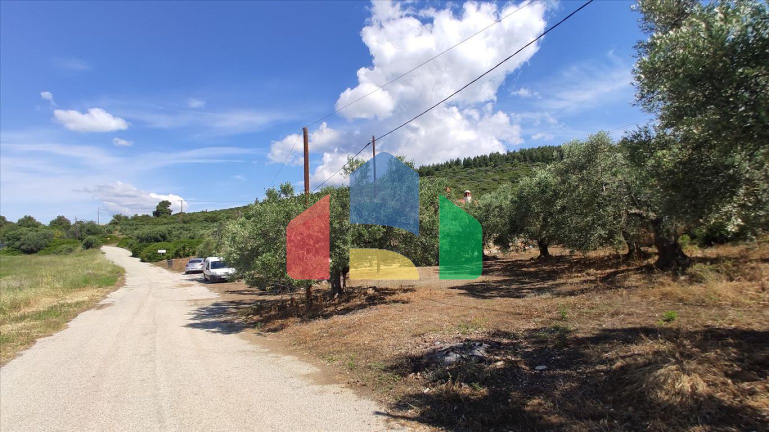 Продажа - Земельный участок 13750 m² на Ситонии (Халкидики)