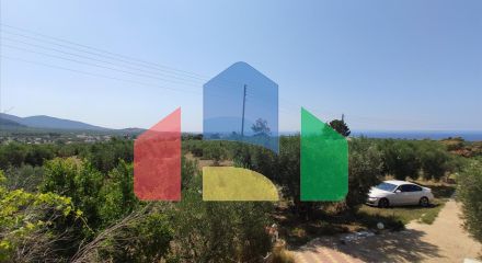 Продаж - Котедж 144 m² на Сітонії (Халкідіки)