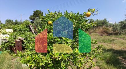 Продаж - Котедж 144 m² на Сітонії (Халкідіки)