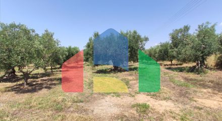 Продаж - Котедж 144 m² на Сітонії (Халкідіки)