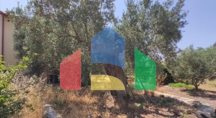 Продаж - Котедж 144 m² на Сітонії (Халкідіки)