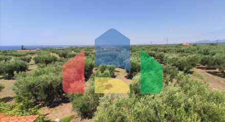 Продаж - Котедж 144 m² на Сітонії (Халкідіки)