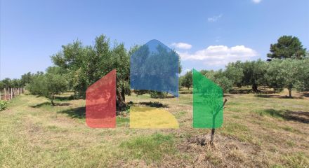 Продаж - Котедж 144 m² на Сітонії (Халкідіки)