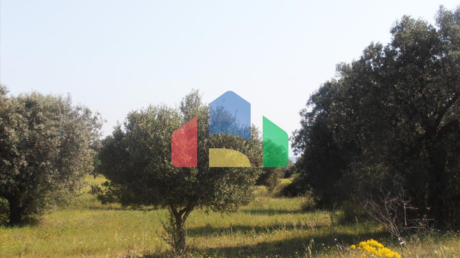 Продаж - Земельна ділянка 5360 m² на Сітонії (Халкідіки)