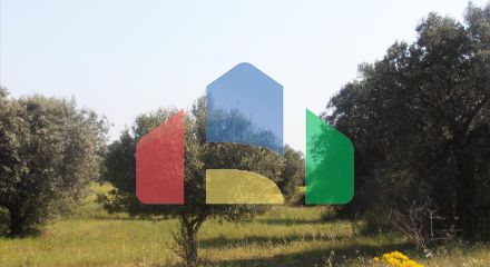 Продаж - Земельна ділянка 5360 m² на Сітонії (Халкідіки)