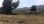 For Sale - Land 6013 m² in Sithonia, Chalkidiki