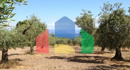 For Sale - Land 12100 m² in Sithonia, Chalkidiki