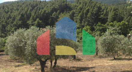 For Sale - Land 12100 m² in Sithonia, Chalkidiki