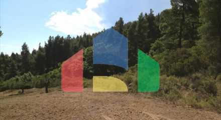 For Sale - Land 12100 m² in Sithonia, Chalkidiki