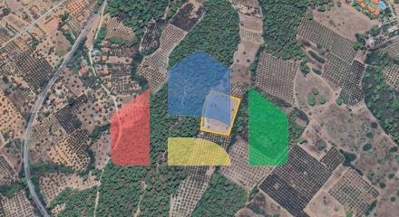 For Sale - Land 10000 m² in Sithonia, Chalkidiki