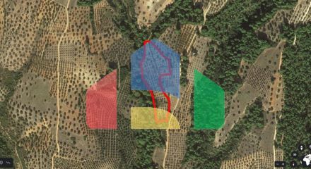 For Sale - Land 16726 m² in Sithonia, Chalkidiki