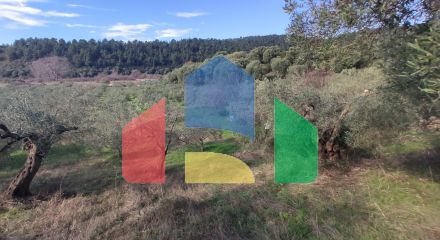 For Sale - Land 14000 m² in Sithonia, Chalkidiki