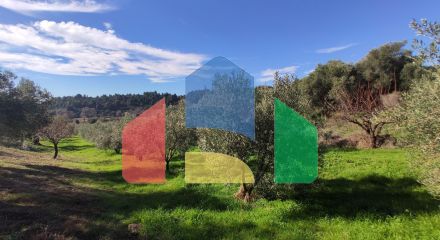 For Sale - Land 14000 m² in Sithonia, Chalkidiki